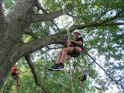 piedmont tree climbing|tree climbing efland nc.